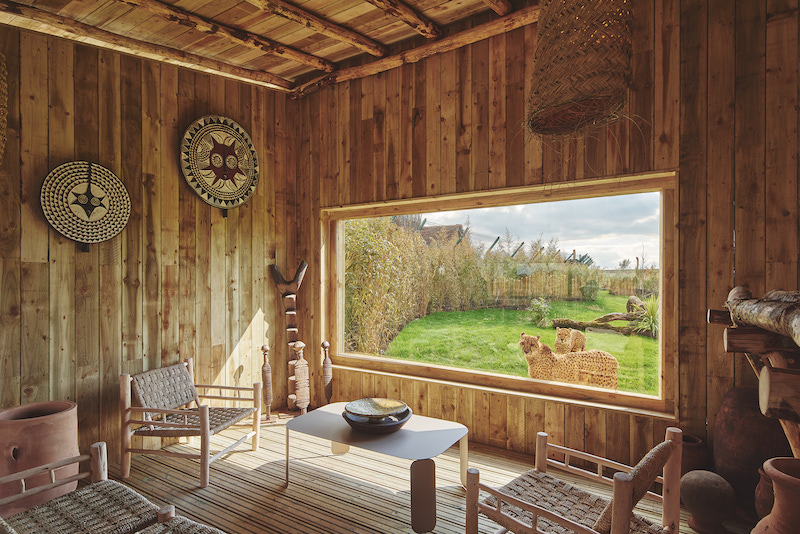 west midlands safari lodges reviews