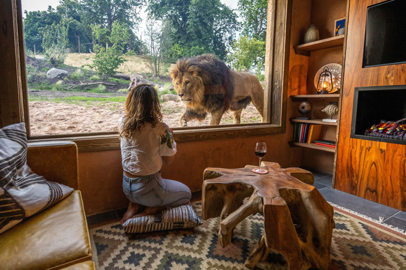 Safari Lodges West Midland Safari Park Contact Us