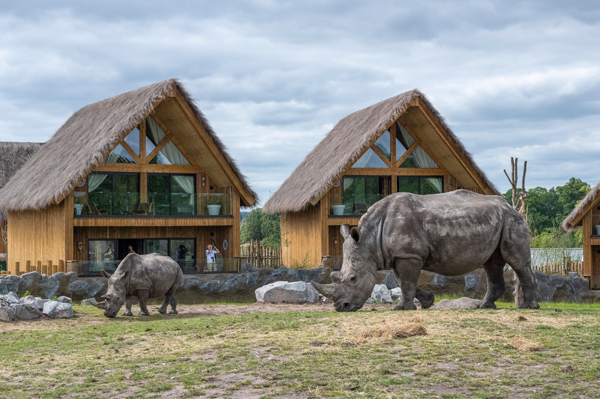 west midlands safari lodges price