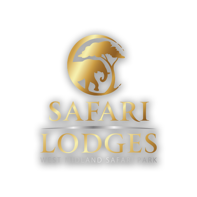 Safari Lodges