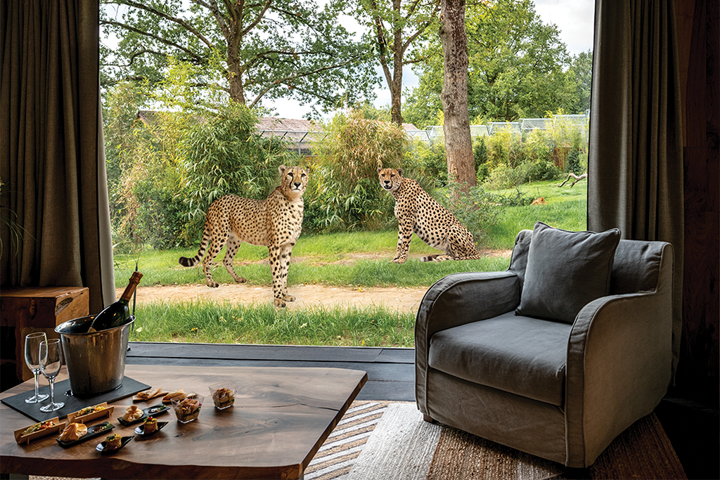 west midlands safari lodge discount code