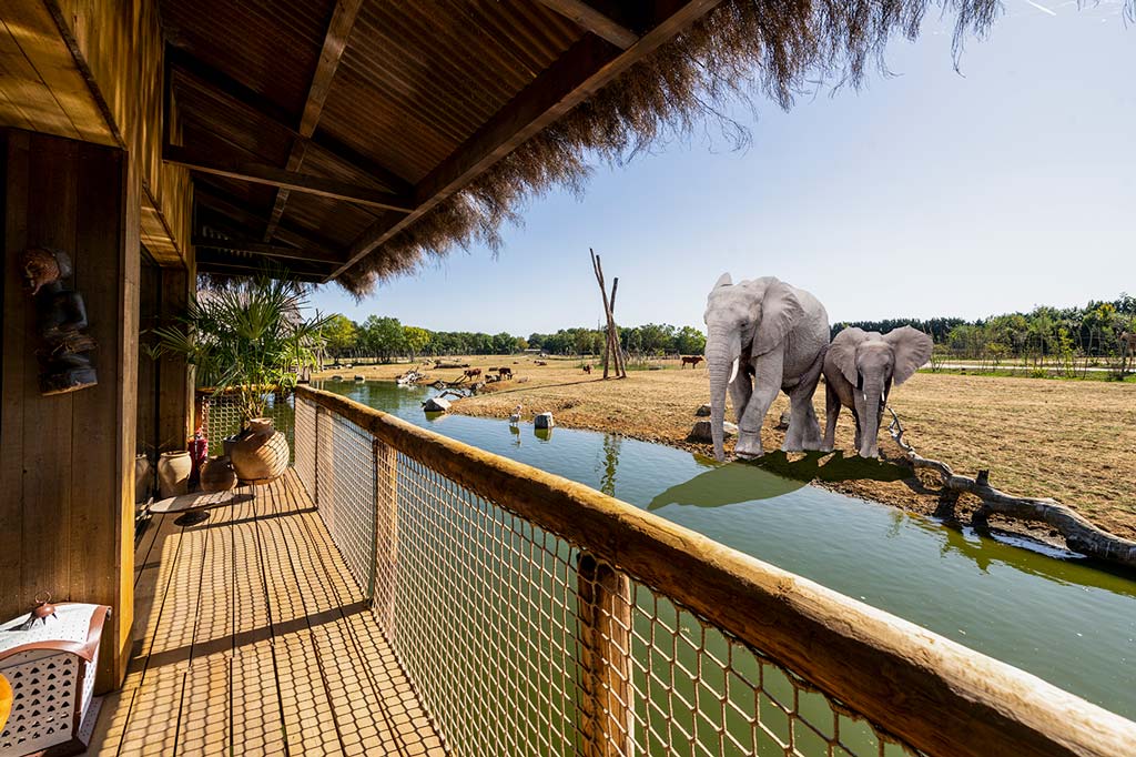 safari park hotel stay