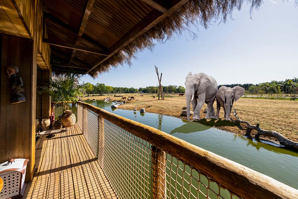 elephant safari park hotel