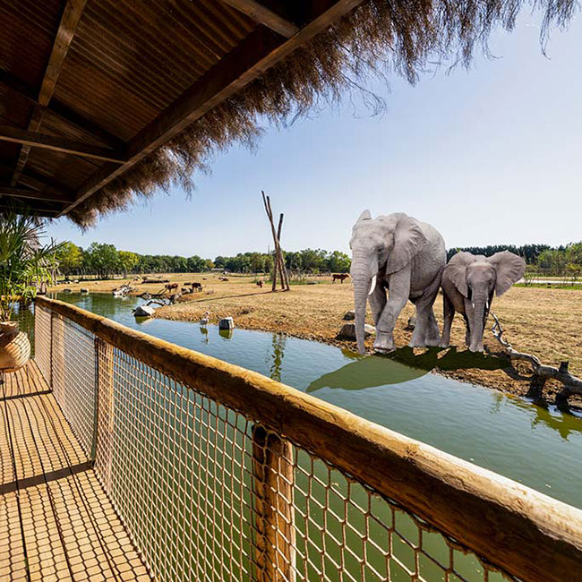 safari lodges west midland safari park
