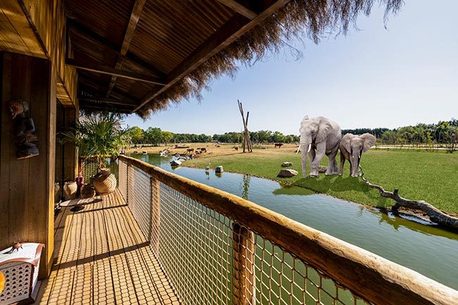 safari zoo in england