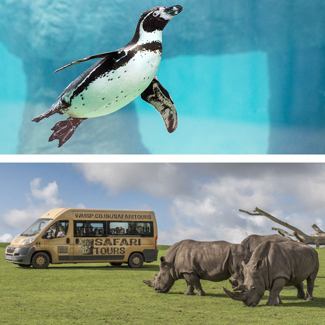 safari park uk with hotel